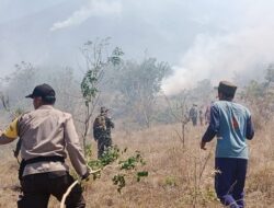 Kebakaran di Gunung Lawu Meluas, 30 Hektar Hangus 
