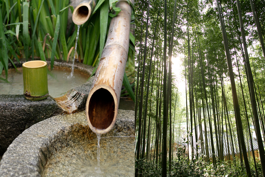Damyang Bamboo