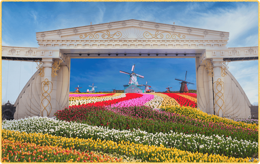 Everland tulip official site